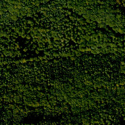 Satellite imagery of Borberg, DE