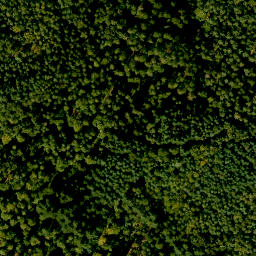 Satellite imagery of Bösbornkopf, DE