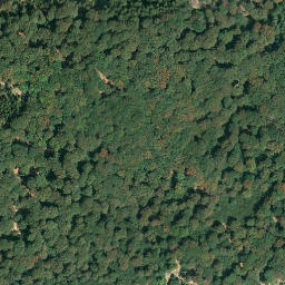 Satellite imagery of Franzosenkopf, DE