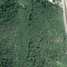 Satellite imagery of Reichenstein, DE