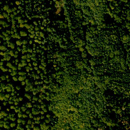 Satellite imagery of Borberg, DE