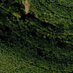 Satellite imagery of Eselshöhe, DE