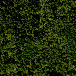 Satellite imagery of Bösbornkopf, DE