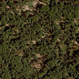 Satellite imagery of Steckenlaubshöhe, DE