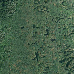 Satellite imagery of Burg Rheinstein, DE