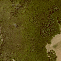 Satellite imagery of Bacharacher Kopf, DE