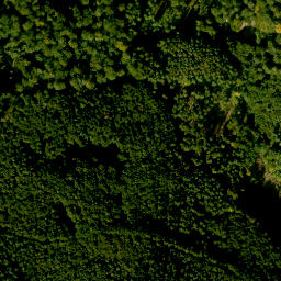 Satellite imagery of Brandenberg, DE