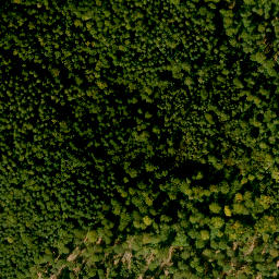 Satellite imagery of Borberg, DE