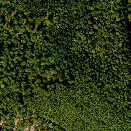 Satellite imagery of Borberg, DE