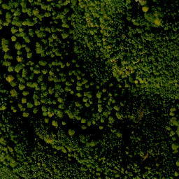 Satellite imagery of Borberg, DE