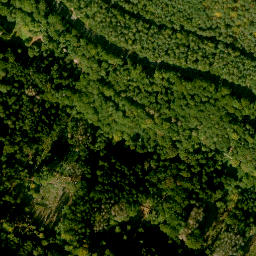 Satellite imagery of Eselshöhe, DE