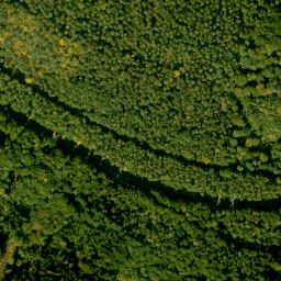 Satellite imagery of Eselshöhe, DE