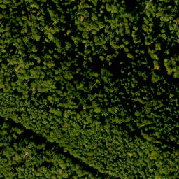 Satellite imagery of Bösbornkopf, DE