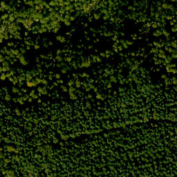 Satellite imagery of Bösbornkopf, DE