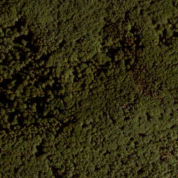 Satellite imagery of Buchberg, DE