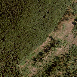 Satellite imagery of Buchberg, DE