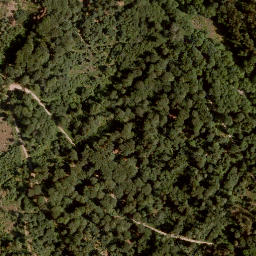 Satellite imagery of Buchberg, DE