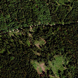 Satellite imagery of Vorderer Ringberg, DE