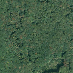 Satellite imagery of Burg Rheinstein, DE