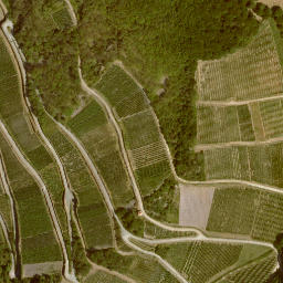 Satellite imagery of Bacharacher Kopf, DE