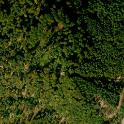 Satellite imagery of Brandenberg, DE