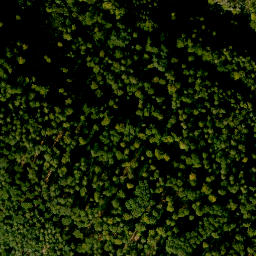 Satellite imagery of Eselshöhe, DE