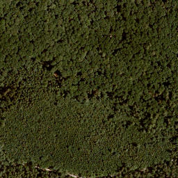 Satellite imagery of Rothenberg, DE