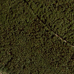 Satellite imagery of Buchberg, DE