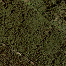 Satellite imagery of Buchberg, DE