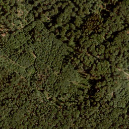 Satellite imagery of Buchberg, DE