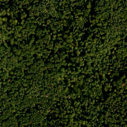 Satellite imagery of Steinberg, DE