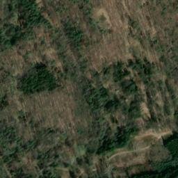 Satellite imagery of Spielwaidholz, DE