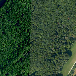 Satellite imagery of Büchig, DE