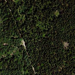Satellite imagery of Vorderer Ringberg, DE