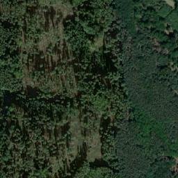 Satellite imagery of (Boleman) [Horušice], CZ