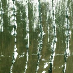 Satellite imagery of survey_point, PL