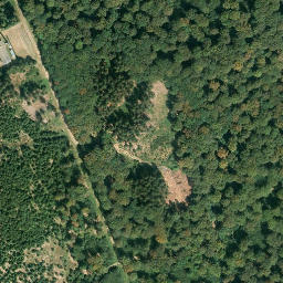 Satellite imagery of Salzkopf, DE