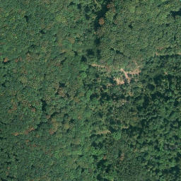 Satellite imagery of Burg Rheinstein, DE