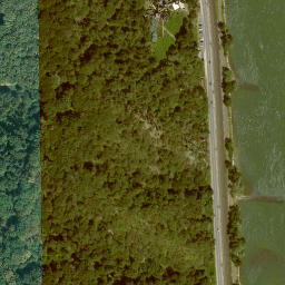 Satellite imagery of Burg Rheinstein, DE