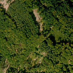 Satellite imagery of Brandenberg, DE