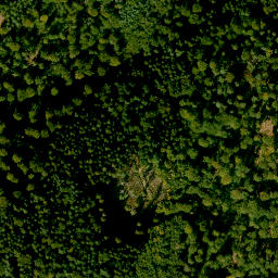 Satellite imagery of Hockenbuckel, DE