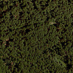 Satellite imagery of Küppel, DE