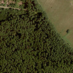 Satellite imagery of Weikertshöhe, DE