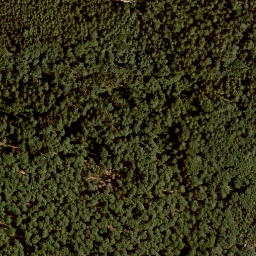 Satellite imagery of Rothenberg, DE