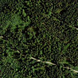 Satellite imagery of Vorderer Ringberg, DE