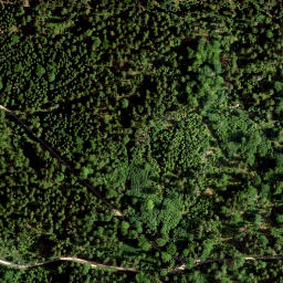 Satellite imagery of Vorderer Ringberg, DE