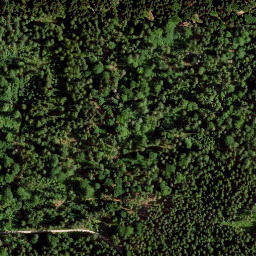 Satellite imagery of Vorderer Ringberg, DE