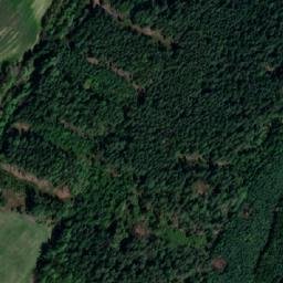 Satellite imagery of (Farský les) [Dolní Čermná], CZ