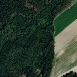 Satellite imagery of (Farský les) [Dolní Čermná], CZ