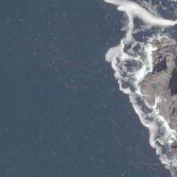 Satellite imagery of Racoon Point, CA